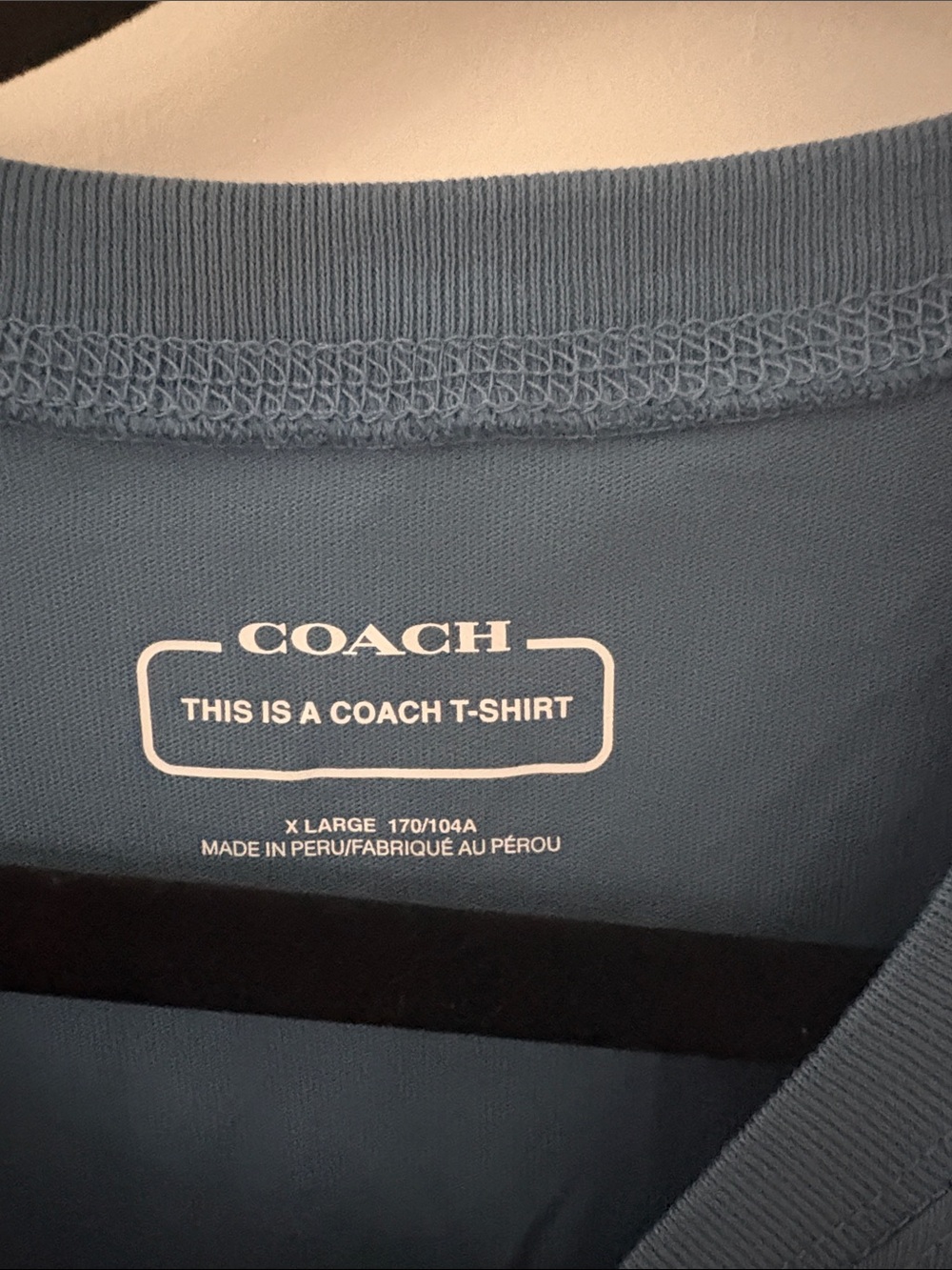 COACH  Blue Logo Graphic Tee - Picture 2 of 3